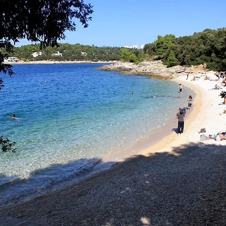 With A Parking Space - 11288 * 풀라