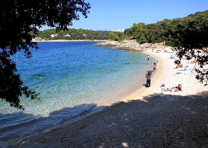 With A Parking Space - 11288 * 풀라